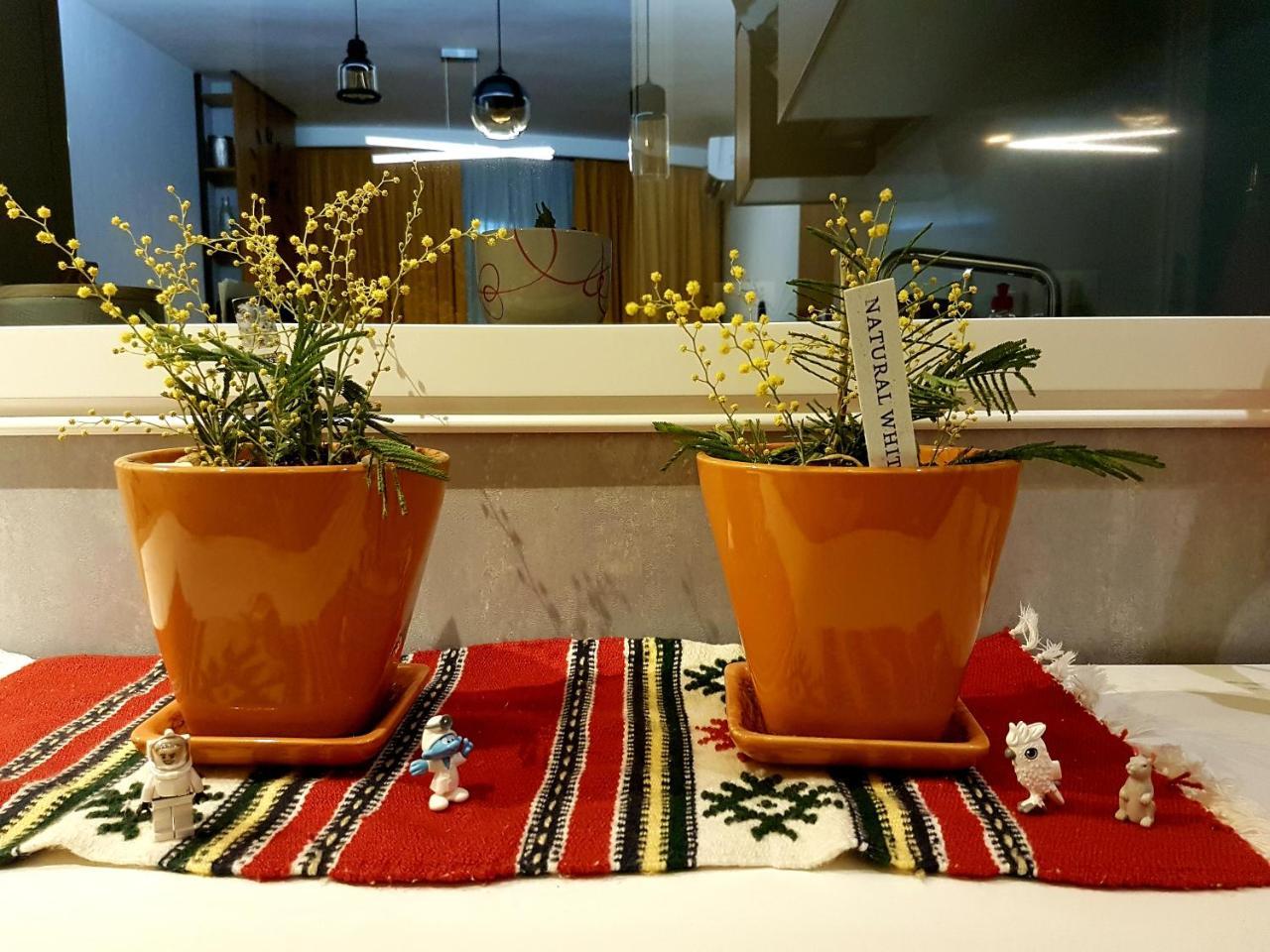 Apartment Luxury Tirana